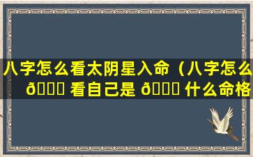 八字怎么看太阴星入命（八字怎么 🐕 看自己是 🐕 什么命格）